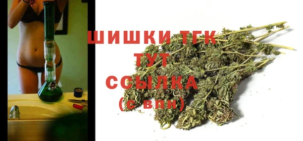 тгк Абаза