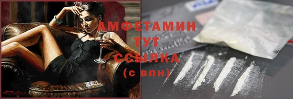 тгк Абаза