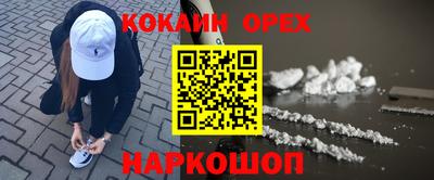 сатива Новозыбков