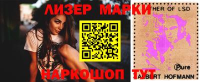 сатива Новозыбков