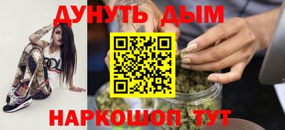 сатива Новозыбков