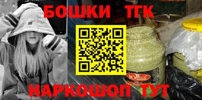 сатива Новозыбков