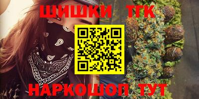 сатива Новозыбков