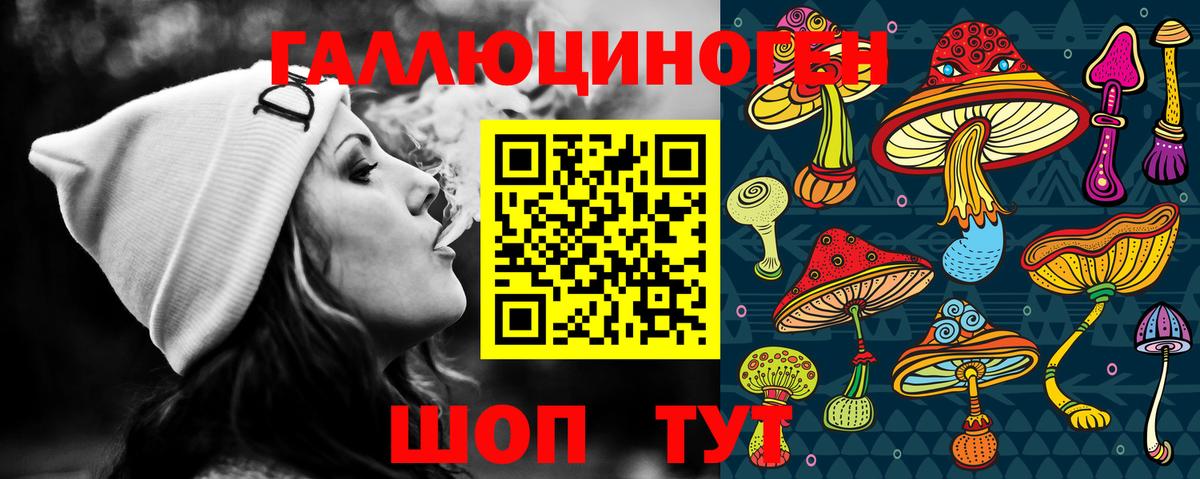 Галлюциногенные грибы Psilocybe  Псилоцибиновые грибы GOLDEN TEACHER  Вход с VPN  Ярославль 